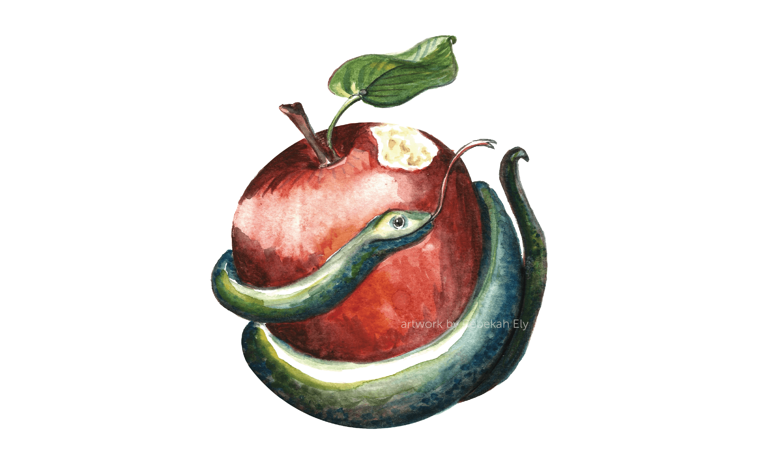 Portfolio 01 illustration